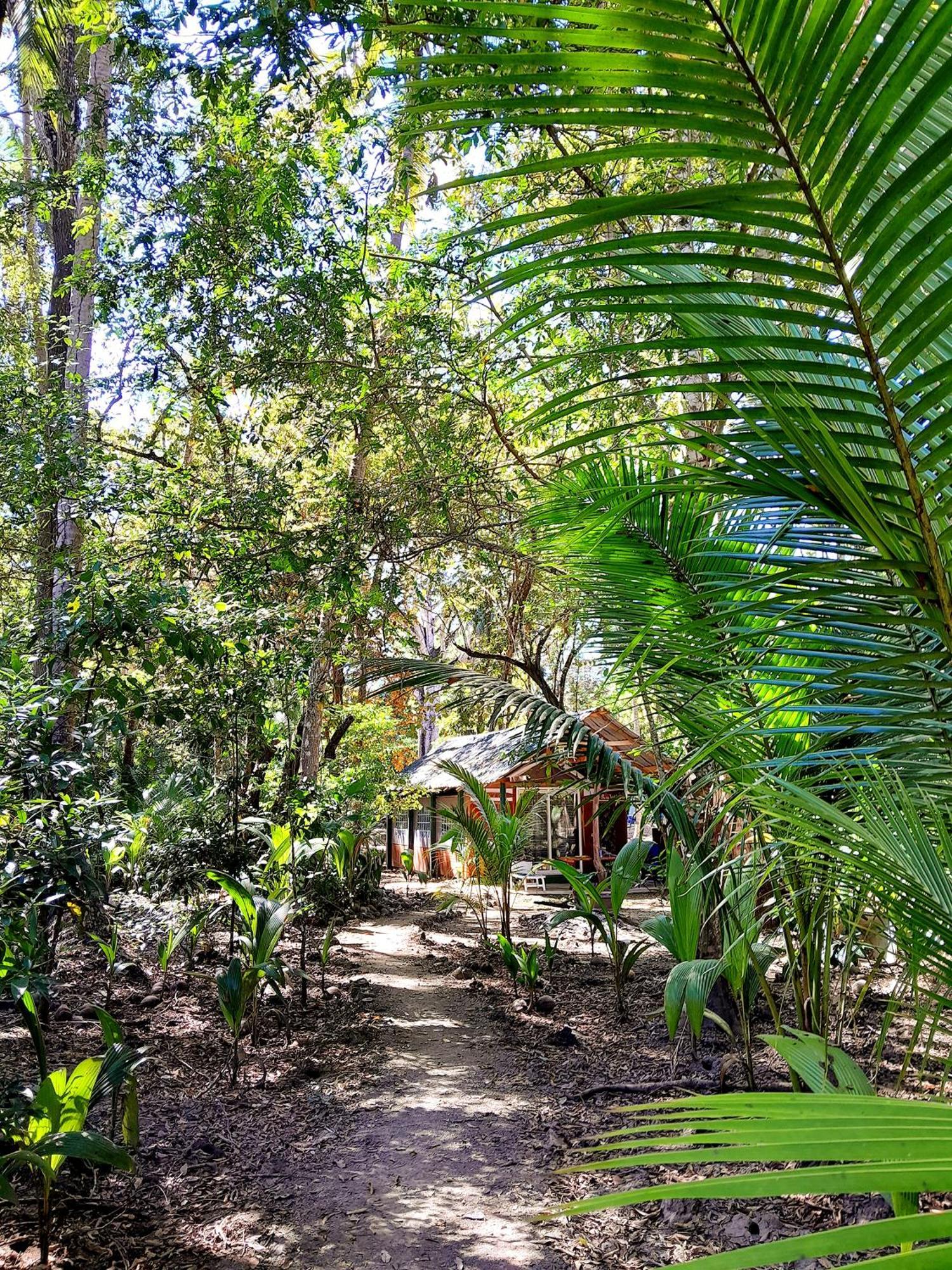 מלון Fully Furnished Family Jungle Tent, Latino Glamping פקוארה מראה חיצוני תמונה